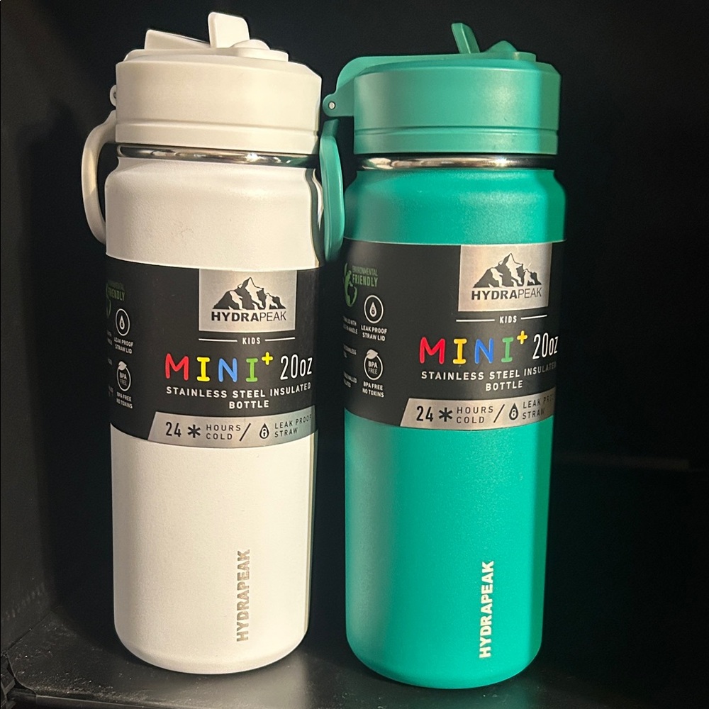 Hydrapeak Mini 20oz Stainless Steel Bottles